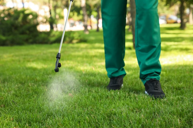 Lawn Insect Spraying