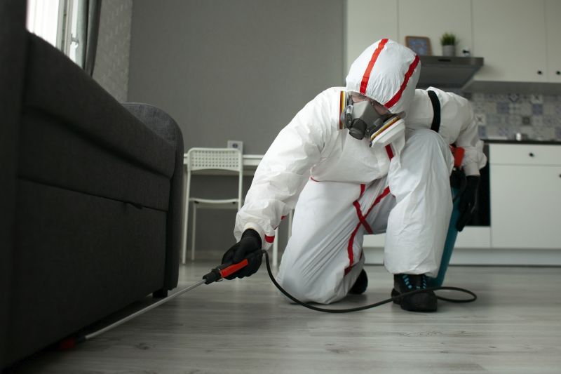 Pest Inspection and Prevention