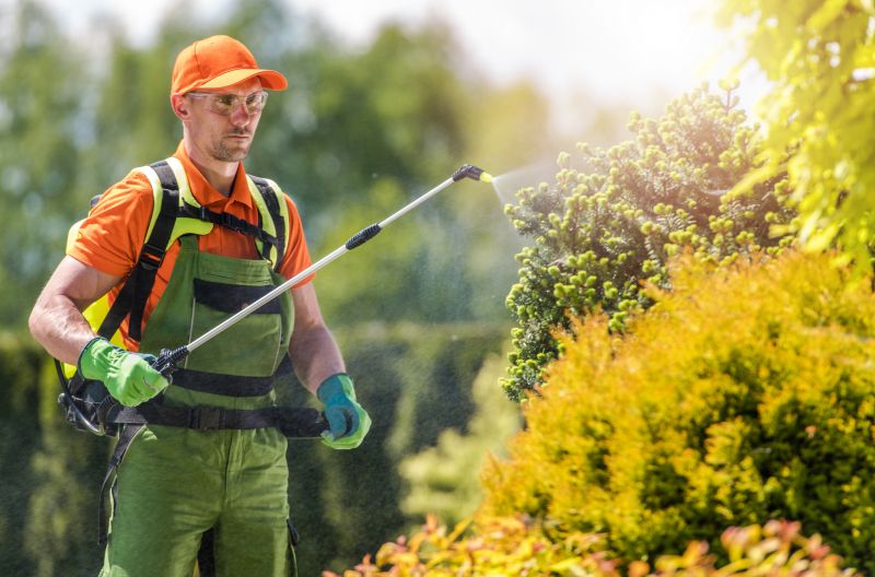 Signs You Need Professional General Pest Control Services