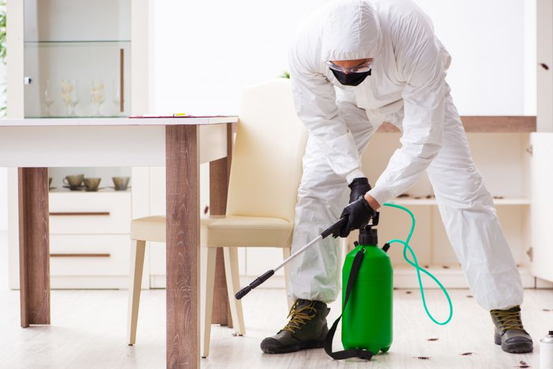 Emergency Pest Control Services